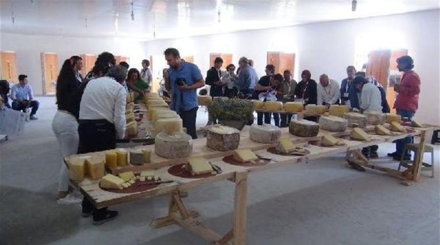 Kars'ta Kaşarın Kalite Savaşı