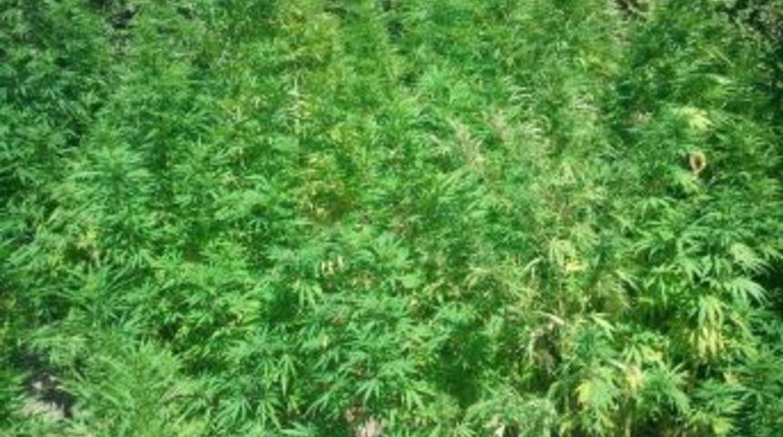 S&ouml;ke&rsquo;de Uyuşturucuyla M&uuml;cadele Devam Ediyor