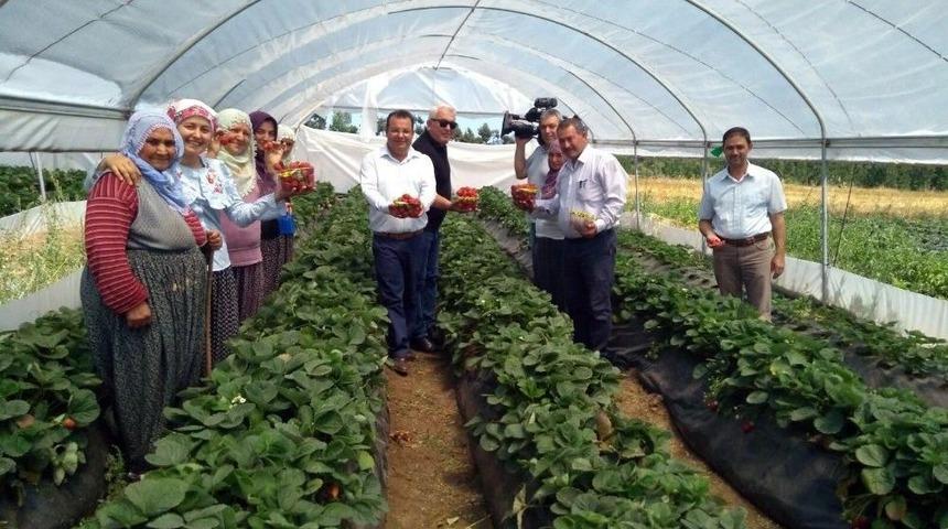 Aladağlı K&ouml;yl&uuml;ler &Ccedil;ilekle G&uuml;ld&uuml;