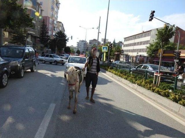 Çorum'daki Fuara Develi Tanıtım