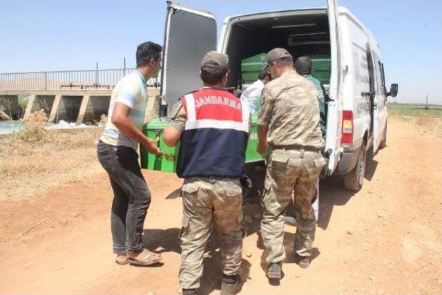 Şanlıurfa'da Sulama Kanalında Ceset Bulundu