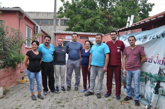 Köpekten İnsanlık Dersi 1