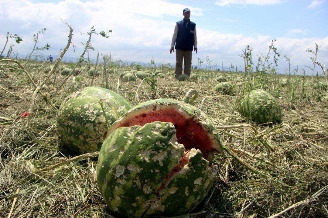 Dolu 30 Dakikada 400 Bin Ton Mahsul&uuml; Telef Etti