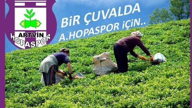 Artvin Hopaspor İçin Bir Çuval Çay Seferberliği