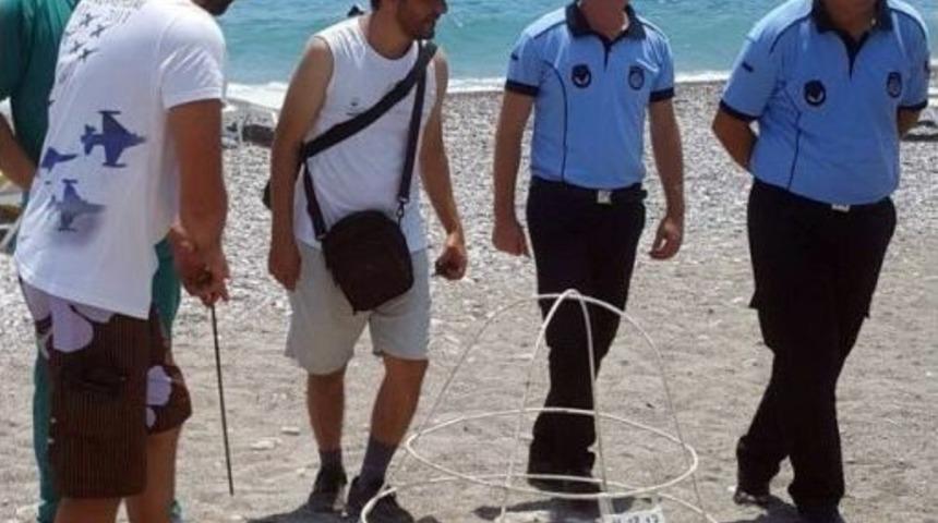 Caretta Carettalar Koruma Altında