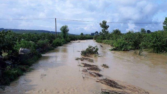 Sakarya’da Tarım Arazileri Sular Altında Kaldı