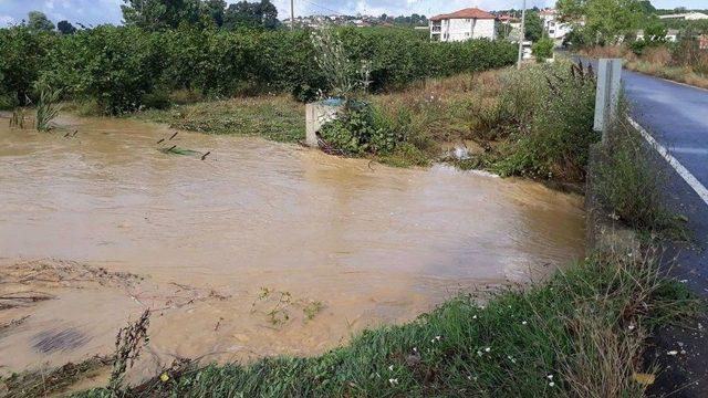 Sakarya’da Tarım Arazileri Sular Altında Kaldı