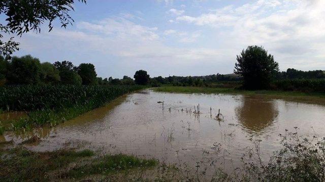 Sakarya’da Tarım Arazileri Sular Altında Kaldı