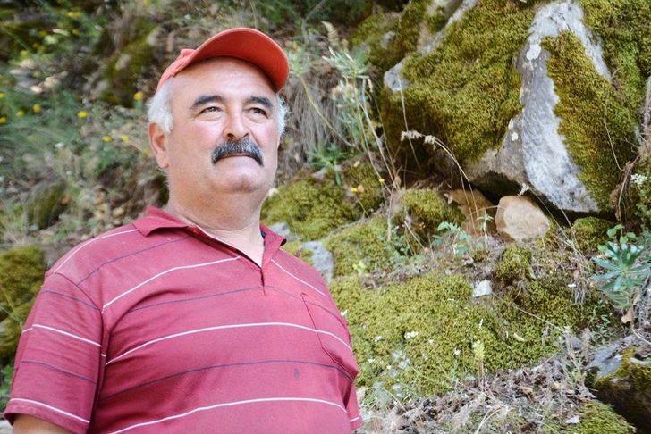 Uşak’taki Bulkaz Dağları Asırlık Fındık Ağaçlarına Ev Sahipliği Yapıyor G1