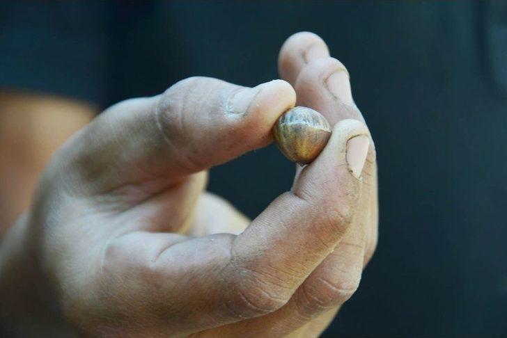 Uşak’taki Bulkaz Dağları Asırlık Fındık Ağaçlarına Ev Sahipliği Yapıyor G3