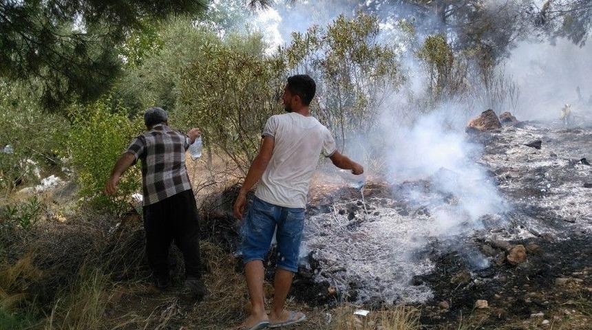 Kozan&rsquo;da &Ccedil;ıkan Orman Yangını Kısa S&uuml;rede S&ouml;nd&uuml;r&uuml;ld&uuml;