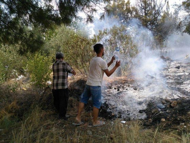 Kozan’da Çıkan Orman Yangını Kısa Sürede Söndürüldü