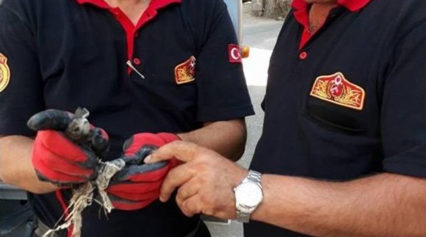 İtfaiye Ekiplerinden Ayağına İp Dolaşan Kırlangıca Yardım Eli