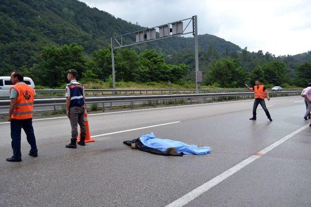 Ordu’da Motosiklet Kazası: 2 Ölü