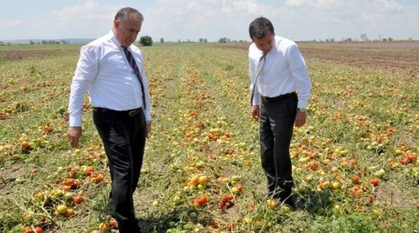 Bursa&rsquo;Da Dolu Ve Sağanak 94 Bin D&ouml;n&uuml;ml&uuml;k Ekili Alana Zarar Verdi