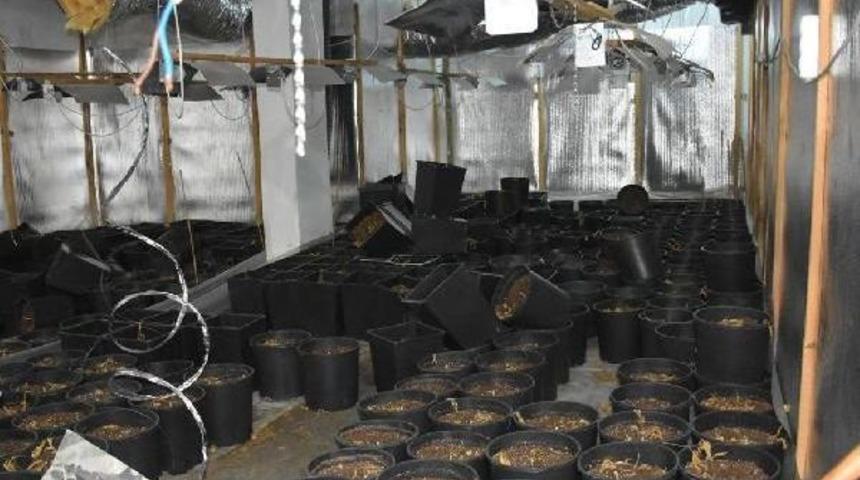 İzmir Polisinden B&uuml;y&uuml;k Uyuşturucu Operasyonu