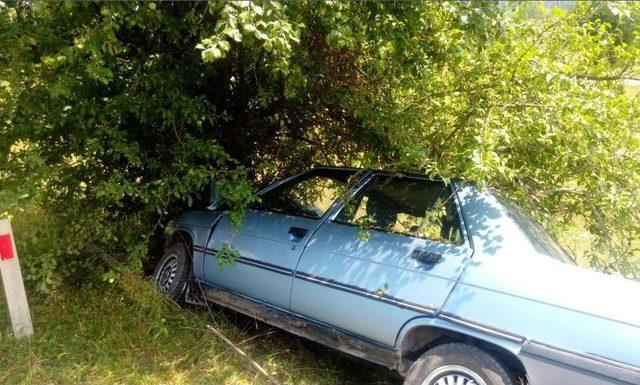 Kontrolden &Ccedil;ıkan Otomobil, Ağaca &Ccedil;arptı: 1 Yaralı 1