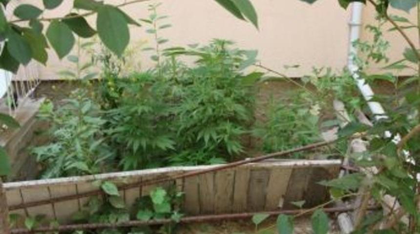 K&uuml;tahya&rsquo;da Uyuşturucu Operasyonu