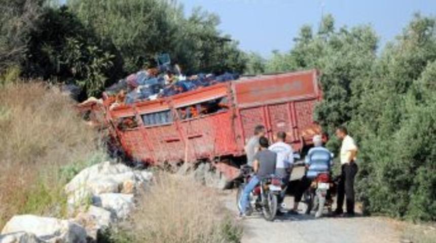 Domates Y&uuml;kl&uuml; Kamyon Taş Duvara &Ccedil;arptı: 1 Yaralı