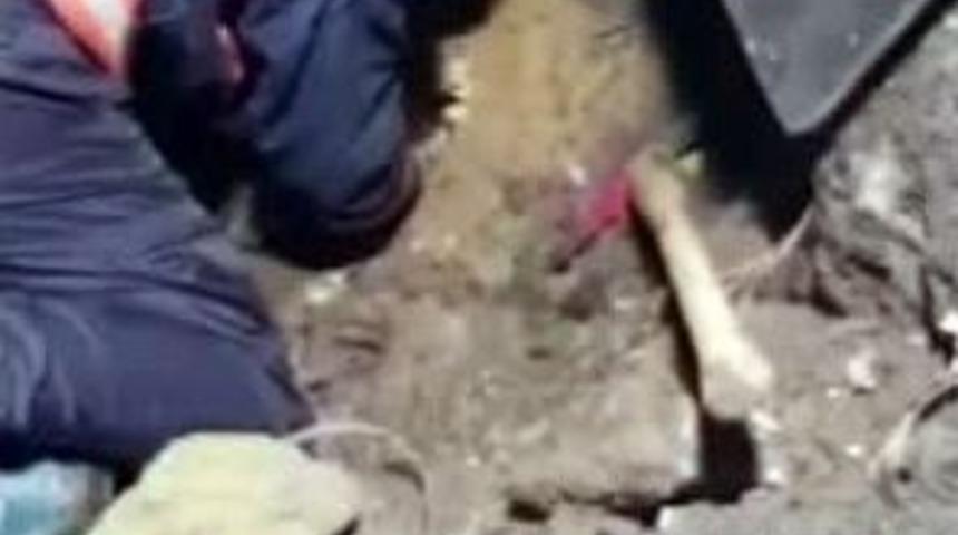 (&ouml;zel Haber) Cihangir&rsquo;de 5 Saat S&uuml;ren K&ouml;pek Kurtarma Operasyonu