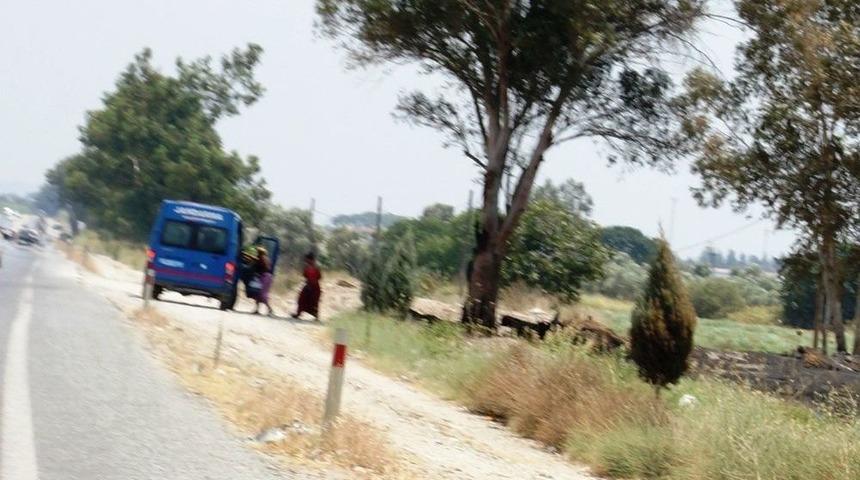 Jandarma Yol Kenarındaki Rezalete El Koydu