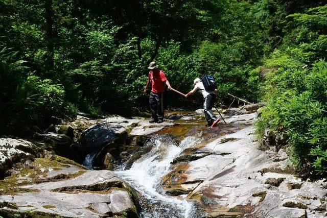 Ordu&rsquo;da Bu Şelalenin Eşi Ve Benzeri Yok 1