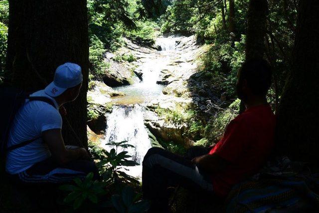 Ordu&rsquo;da Bu Şelalenin Eşi Ve Benzeri Yok 3