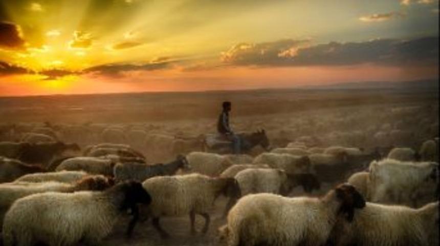 Dika Fotoğraf Sergisi Yapılacaktır