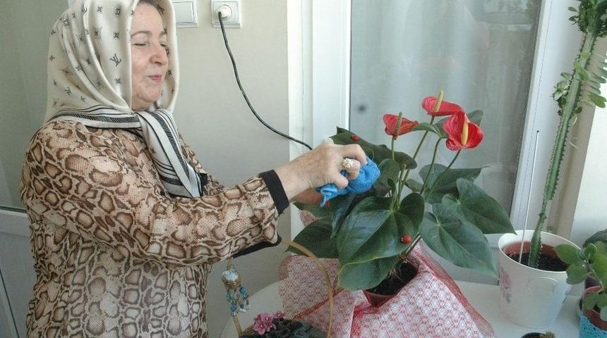 Sıcak Havada Sulanan &Ccedil;i&ccedil;ekler Kuruyor