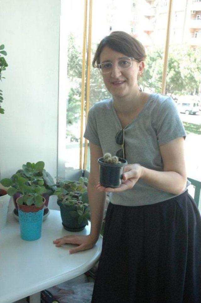 Sıcak Havada Sulanan &Ccedil;i&ccedil;ekler Kuruyor 1