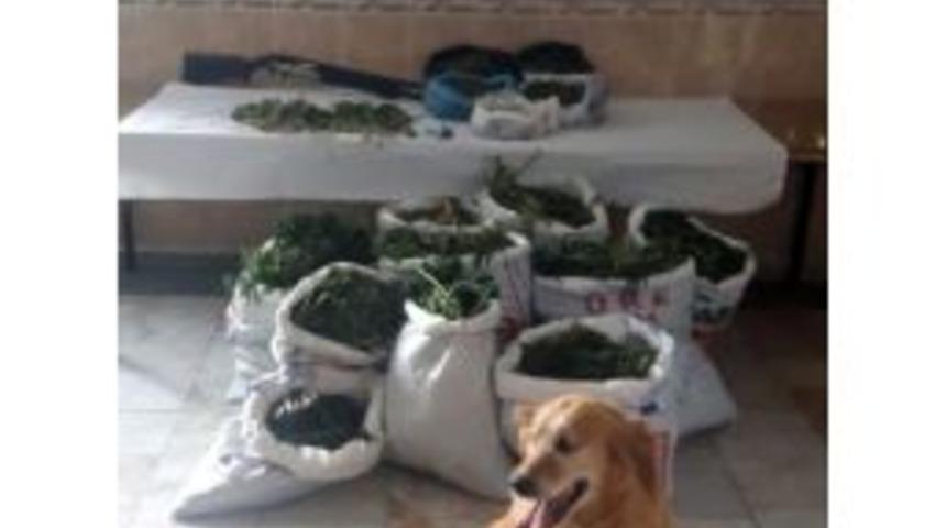 Akşehir&rsquo;de Uyuşturucu Operasyonu