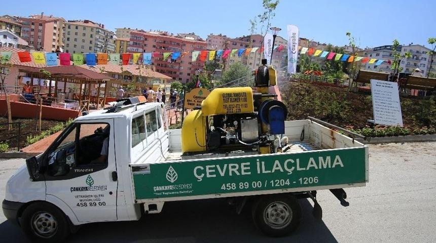 &Ccedil;ankaya&rsquo;da 70 Bin Hektar Alan İla&ccedil;landı