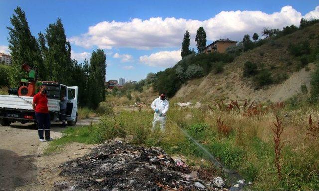 Çankaya’da 70 Bin Hektar Alan İlaçlandı