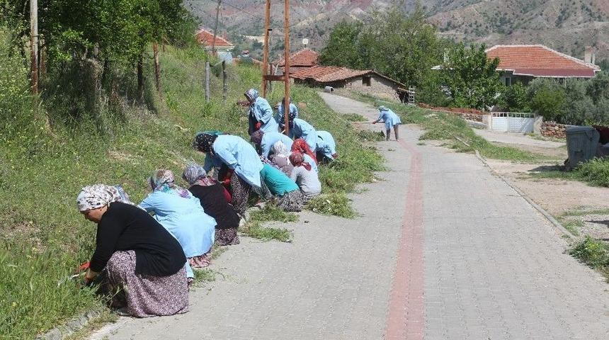 Sarıcakaya&rsquo;ya Kadın Eli Değdi