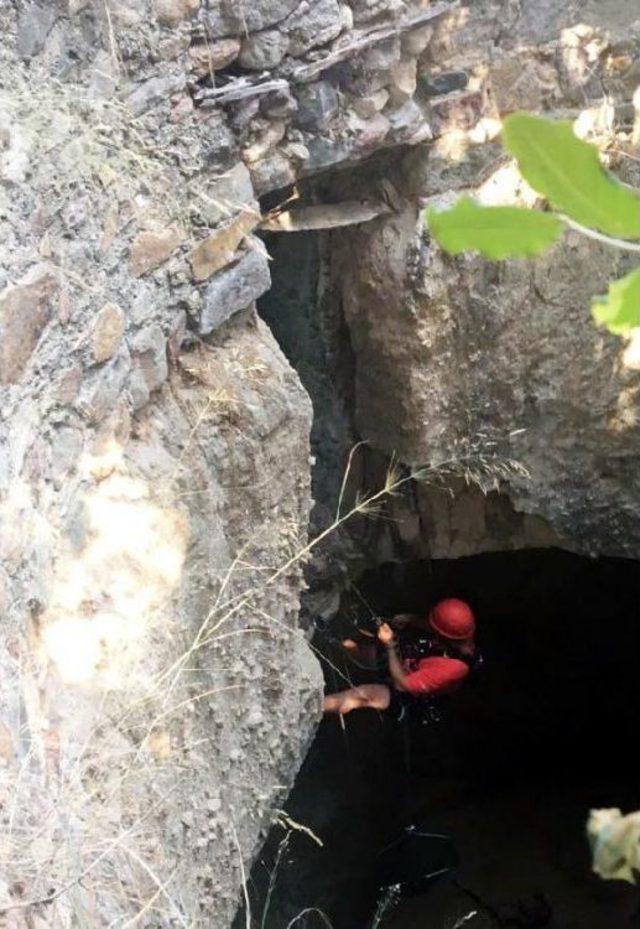 Kuyuya Düşen Tavuğu Akut Kurtardı