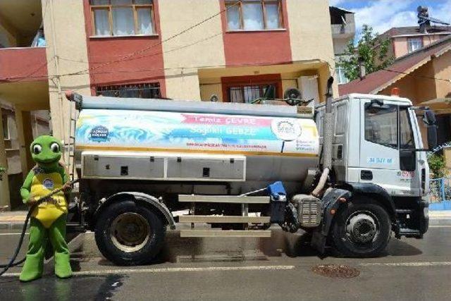 Gebze nin Maskotu Kaplumbağa  terbi  Oldu 2