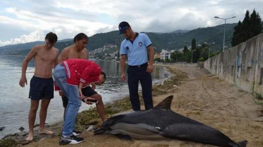 Karam&uuml;rsel'de &Ouml;l&uuml; Yunus Sahile Vurdu