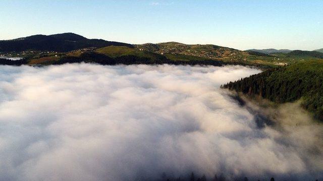 Ordu’da Sis Seyirlik Manzara Oluşturdu