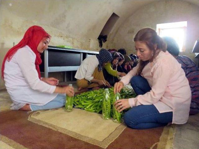 Midyat'ta Kadınların Turşu Mesaisi Başladı