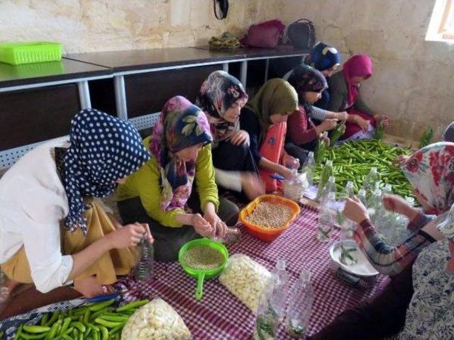 Midyat'ta Kadınların Turşu Mesaisi Başladı