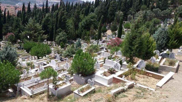 (&ouml;zel Haber) Eşref Kol&ccedil;ak: "oğlum Verilen İla&ccedil;ları Kasıtlı Olarak Almamış" 3