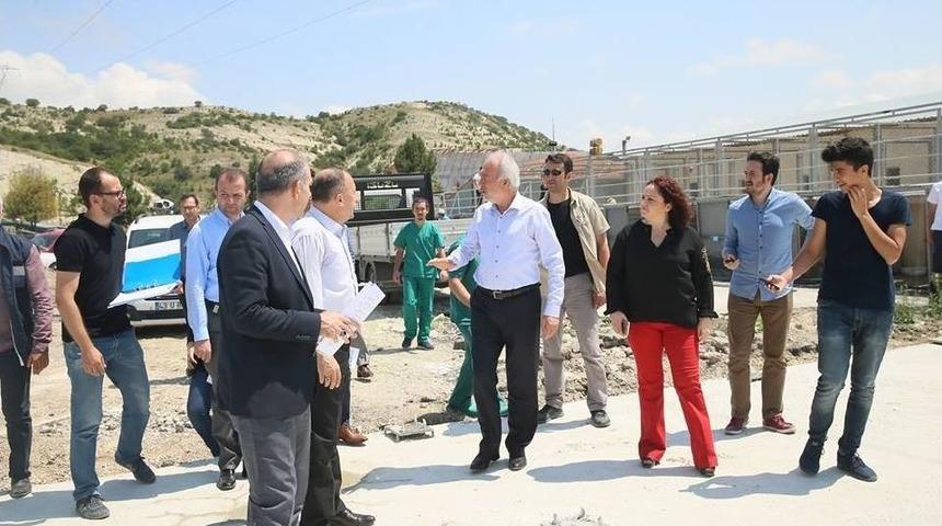 Genişleyen Hayvan Barınağı B&ouml;lgede &Ouml;rnek Olacak