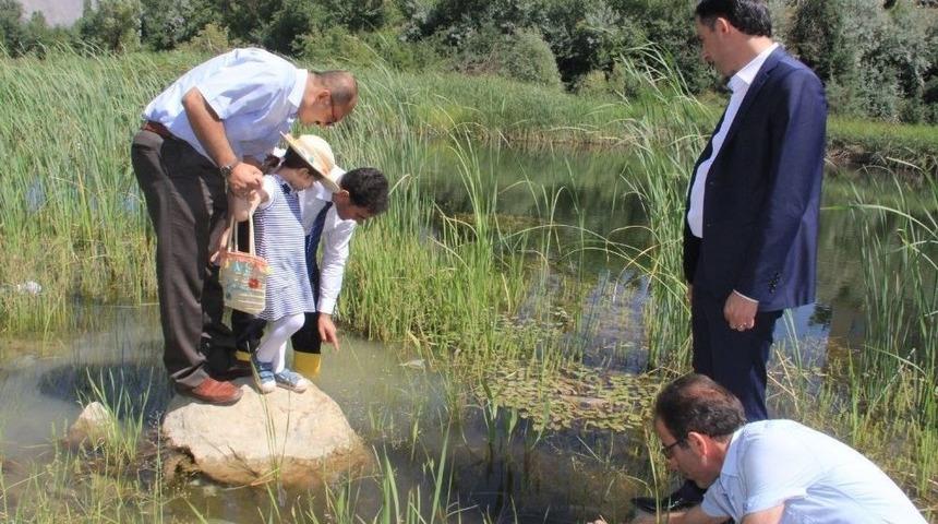 S&uuml;l&uuml;k G&ouml;letine 15 Bin Sazan Bırakıldı