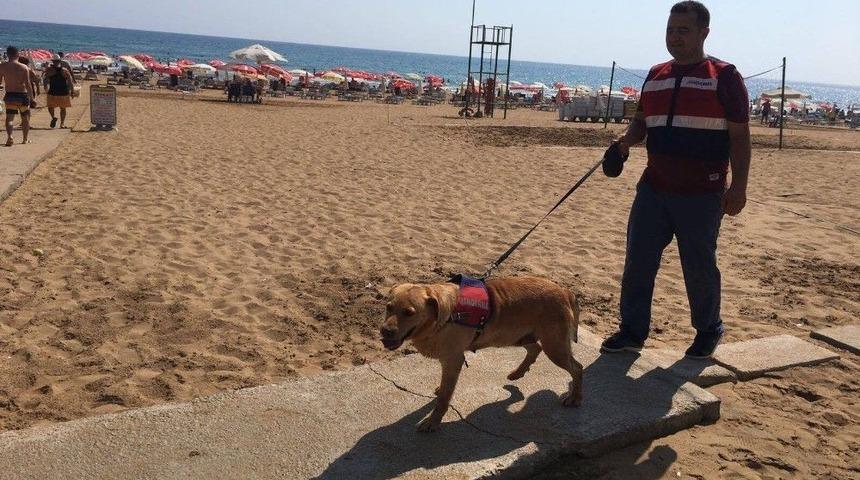 Antalya&rsquo;da Plajlarda G&uuml;venlik &Ouml;nlemi Artırıldı