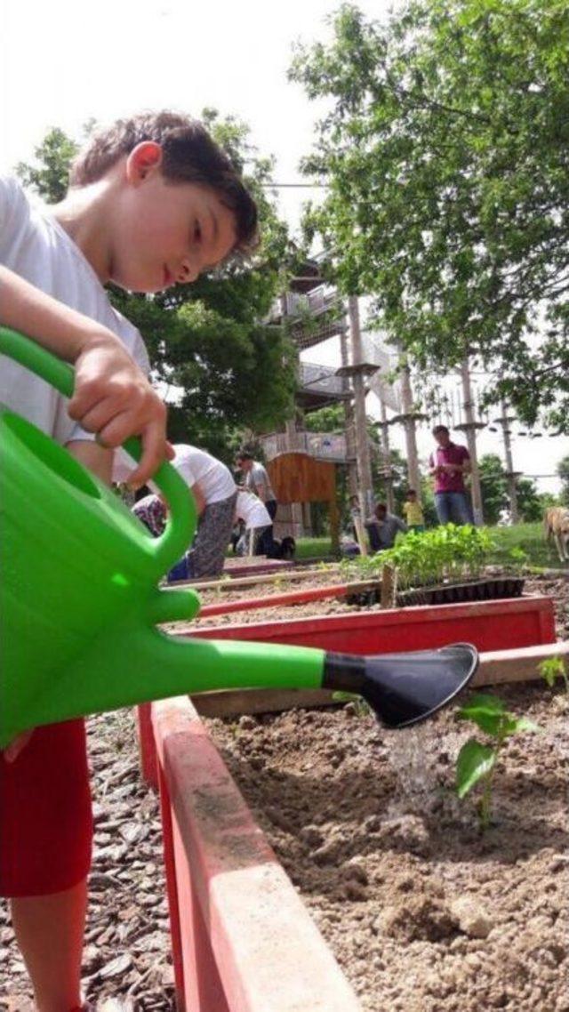 &lsquo;benim Bah&ccedil;em&rsquo; Projesinde &Uuml;r&uuml;nler Filizlenmeye Başladı 1