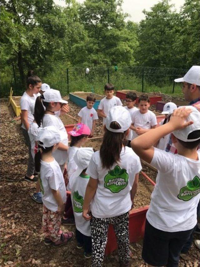 &lsquo;benim Bah&ccedil;em&rsquo; Projesinde &Uuml;r&uuml;nler Filizlenmeye Başladı 2