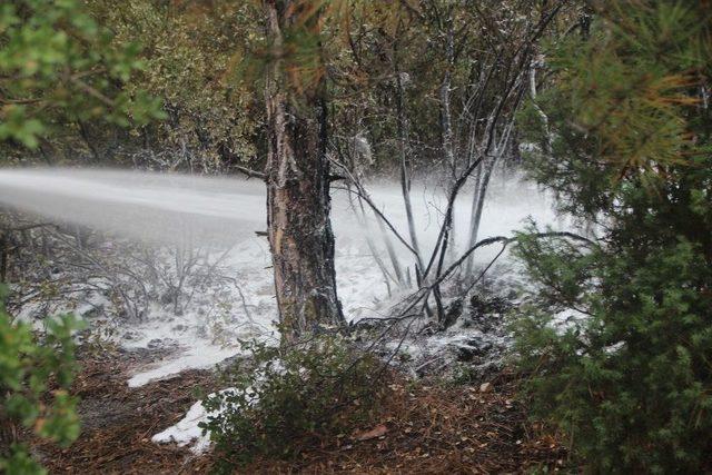 Bilecik&rsquo;te Orman Yangını 1