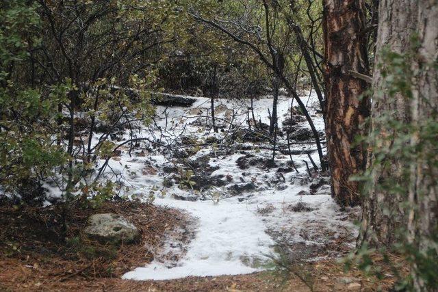 Bilecik&rsquo;te Orman Yangını 2