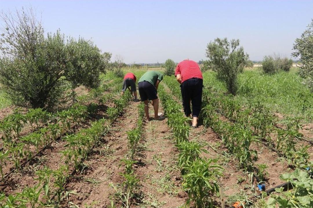 Hobi Bah&ccedil;eleri Ve Kurslarla Ruhsal Sorunlarını Aşıyorlar
