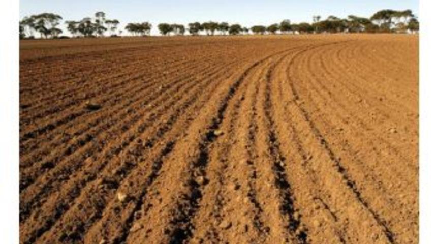 Aydın&rsquo;da 33 Bin Dekar Alan Nadasa Bırakılıyor